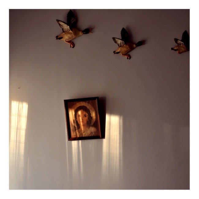 Sunlight on Wall - 5x5 Fine Art Photograph - Simple Natural Light Photography Print