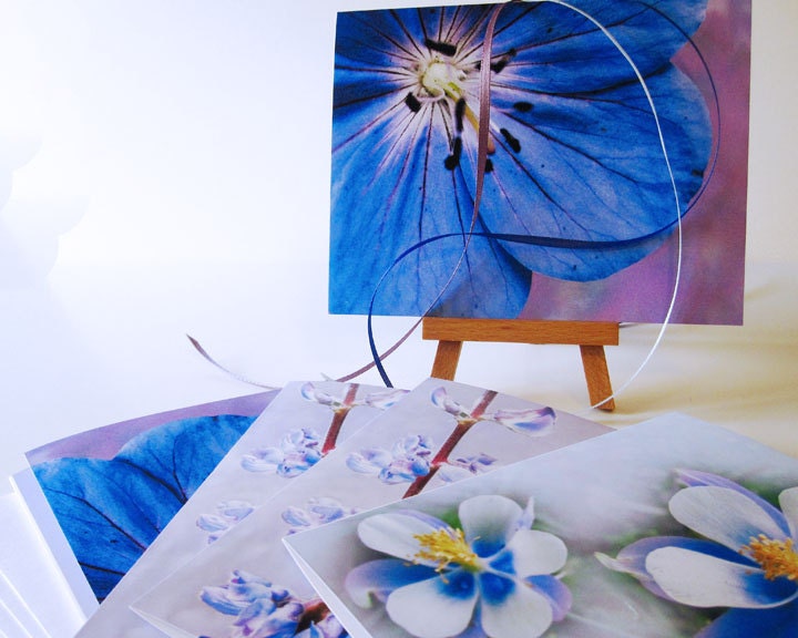 Flower Note Card Set -Colorado Cards -Blank Note Card Set -Greeting Card Set -Wildflowers -Birthday Invitation -Blank Card Set of 6