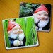 Gnome in Grass & Rhubarb Recycled Ceramic Tile Coasters (set of 2)