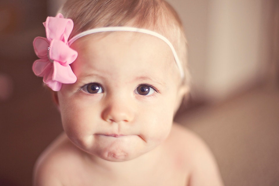 Pink Flower Headband White Band Spring Summer Photography Prop Daisy Floral Nylon Babies Toddlers Girls