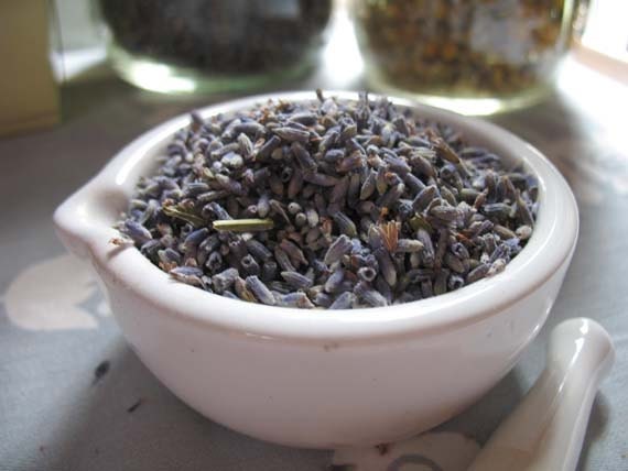Organic Cooking Lavender - 1/2 Pound Food Grade Lavender