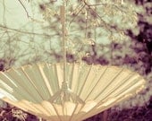Sale First Gleam Catching Light Series Umbrella 11x14 ZNE fPOE POE TEAM