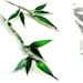 Silver Bamboo Earrings.  Emerald Green Earrings. Emerald Green Jewelry. Silver Wire Jewelry. Silver Long Earrings.
