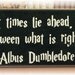 Dark and difficult times lie ahead Harry Potter wood sign