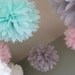 Ice Cream Shoppe - 10 Tissue Paper Pom Poms - First Birthday Decoration Party - Candy Bar Backdrop - Newborn Photograph
