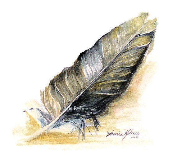 Nature Watercolor Feather Natural History Original Painting Black Crow Art by Laurie Rohner