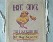 Novelty Chick Feed Sack, Dixie Chick Start & Grow Poultry Feed, Harrisonburg, Virginia