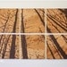 Large Forest Landscape Wall Art - Screen Print Set - Rustic Home Decor
