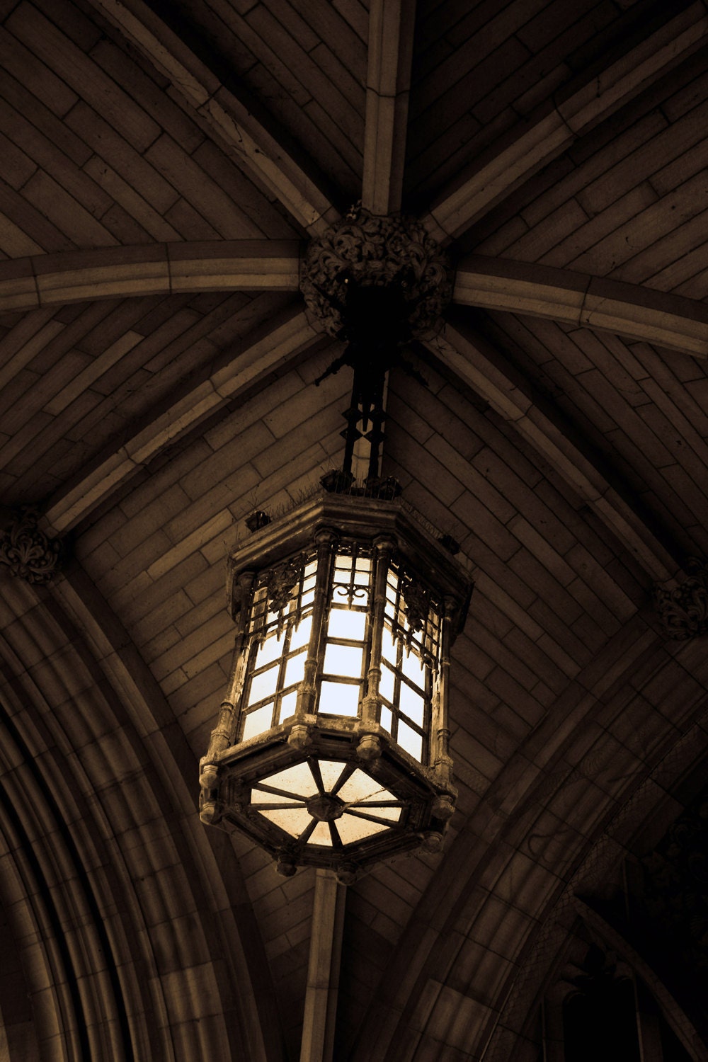Ready To Ship Photograph Neutral Hanging Light Chandelier  - 8x10