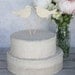 Wedding Cake Topper Love Birds Shabby Chic Wedding Decor (item P10385)