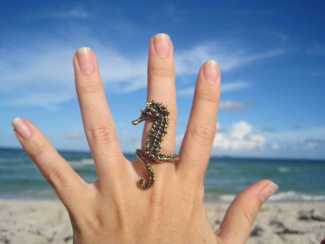 sea horse ring bronze