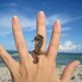 sea horse ring bronze