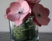 Martini Anemone Flowers in a vase