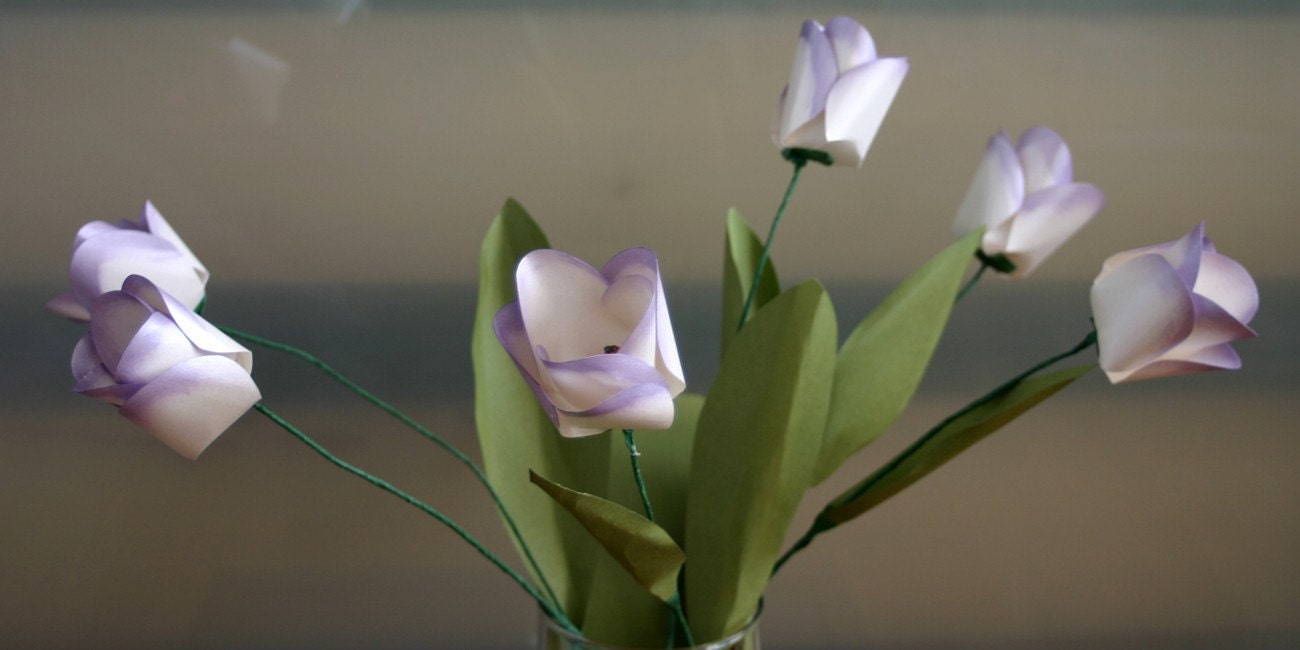 Purple Kissed Tulips