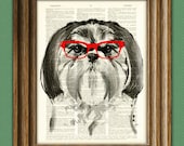 Dog Smarty Pants Shih tzu  with red glasses illustration beautifully upcycled dictionary page book art print