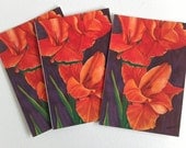 gladiolus, notecards, flower card set