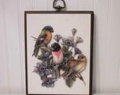 vintage SONGBIRD plaque 3D dimensional for your shabby cottage spring decor