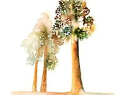 Redwoods- Landscape painting-Watercolor-Glicee print-Home decor-poster print-Archival Print from my original watercolor painting 8x10 inch