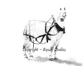 Gray Percheron Drawing Print, 11 x 13" Draft Horse Art, Farm artwork, Pencil Black and White, Limited Edition