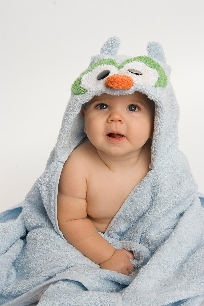 Blue Owl Hooded Towel