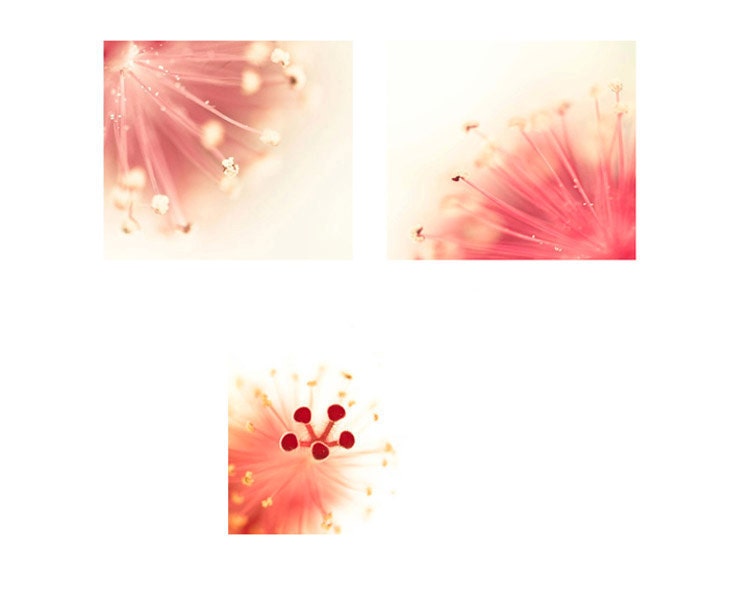 Girls wall decor - pink art set for a girls room - soft pastel modern nursery decor, 3 5x5 photography prints