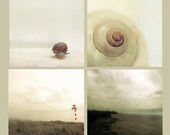 Decorating theme for a cottage or cabin, 4 5x5 photos in beige, gray and neutral shades, Beach, Ocean, Shell - Nautical gift