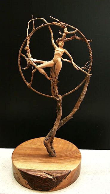Dream Catcher