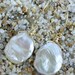 Keishi Pearl Earrings on 14k Gold Filled Ear Wires