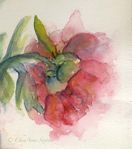 Watercolor Flower Art - Exquisite Love Peony Blossom - gift for Mother - watercolour giclee 5x5 print