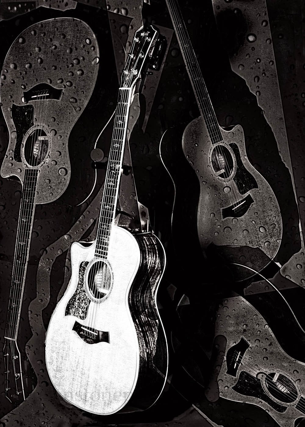 Guitars Black and White Digital 12x18 FA photo on metallic photo paper, wall art, home decor, music room art