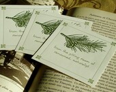 Evergreen PINECONE & BRANCH 10 Lettepress Bookplates for Nature Lovers