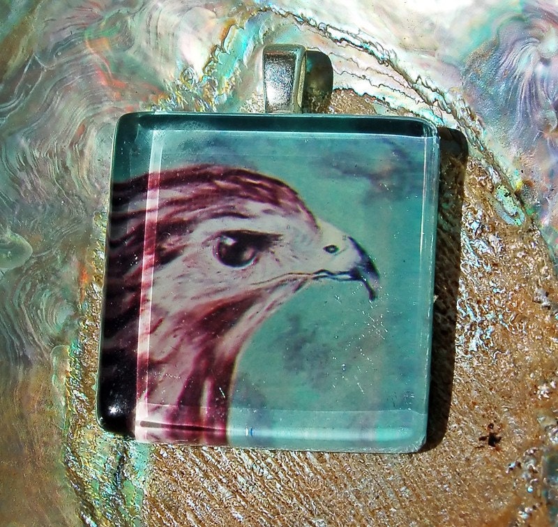 Harlen's Hawk, Red-Tailed Hawk Colored Pencil Drawing Necklace, Turquoise Bird, Raptor Feathers