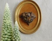 Victorian gilt carved wood fruit on velvet wall hanging