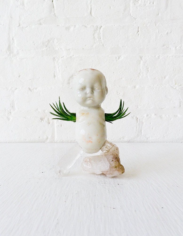 EmmaWalkerFly Bisque Baby Quartz Air Plant Garden