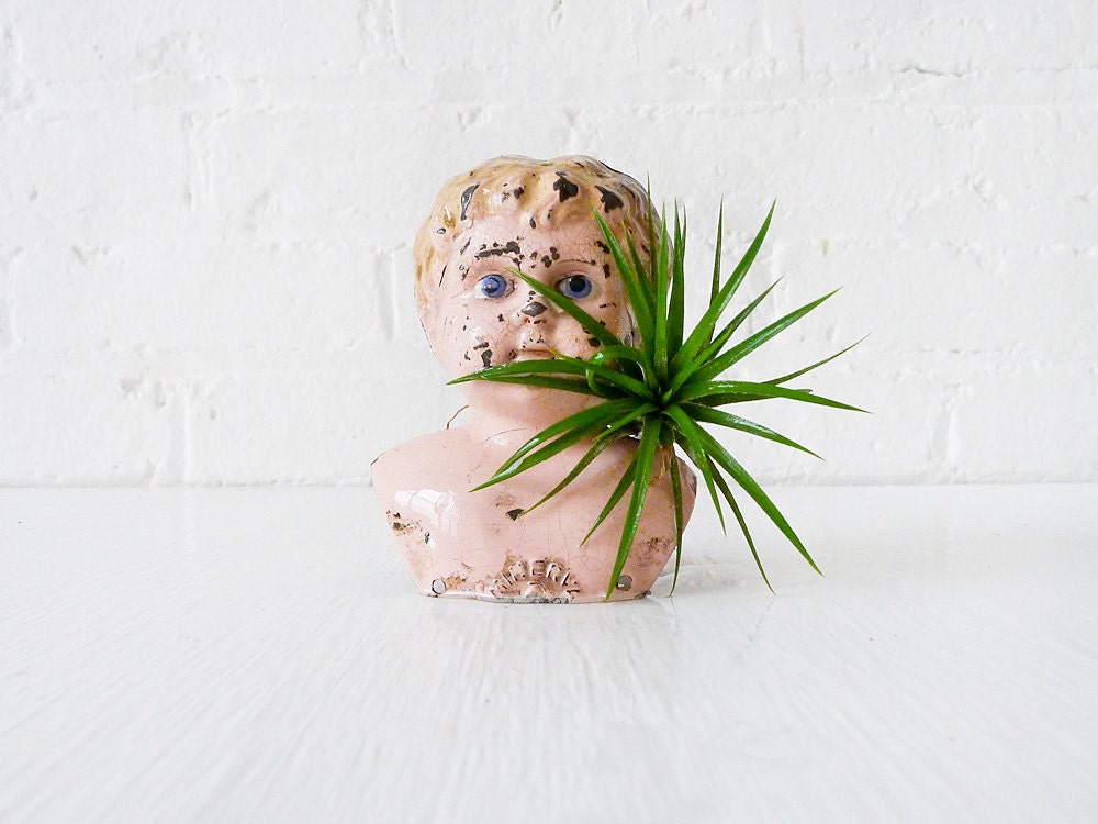 10% SALE - Antique German Doll Tin Rust Air Plant Shoulder Garden