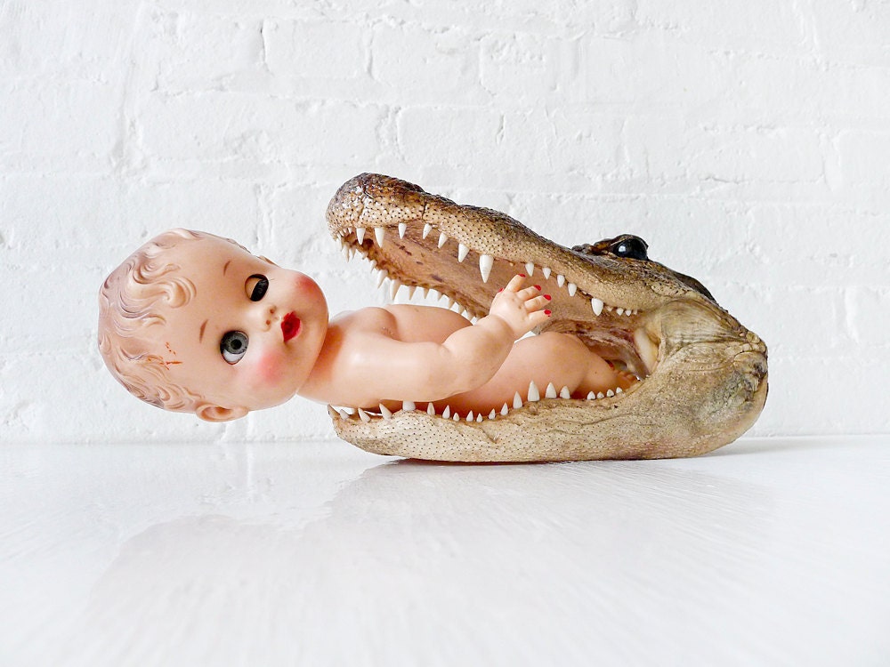 RESERVED - Quick SAVE the BABEE from the Gator - Vintage Doll in Jaws of Alligator Taxidermy Head