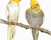 Bird Art Print, Limited Edition 8x11 - COCKATIELS - Original Watercolor Painting by Lorisworld