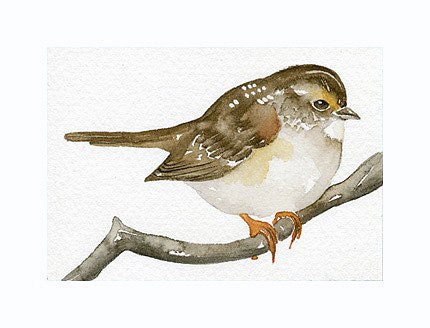 Sparrow Bird ACEO Art Print of my original watercolor, painting by Lorisworld