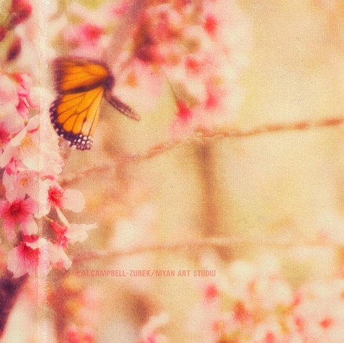 butterfly photograph, nature photography, blur, spring garden, cherry blossom tree, pink orange baby girls room art