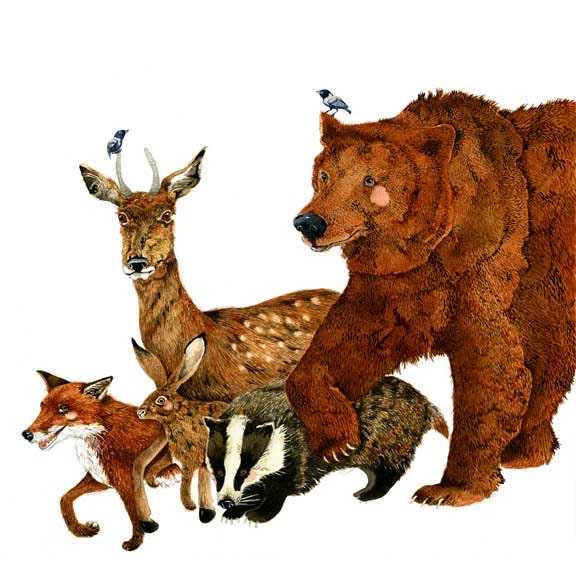 Bear Print Bear and woodland Creatures Fox, Deer, Hare, Badger 11.7x16.5 - ChasingtheCrayon