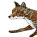 Giclee Fox Print Fox art print  illustration 11.7x16.5