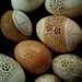Victorian Lace Carved and Etched Egg of Your Own Design