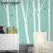 Birch Tree Wall Decal - Nursery Wall Decal -0051