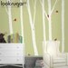 Children Wall Decal - Birch Tree Wall Decal - Baby Nursery Bird Tree Decal - 0051