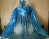 Cinderella Childrens Bedroom Canopy