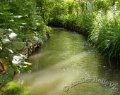 Monet's Garden - 'Lightplay' Photographic Print  - Giverny France - AtelierBelleVie