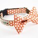 Tangerine Honeycomb Dog Bow Tie Collar