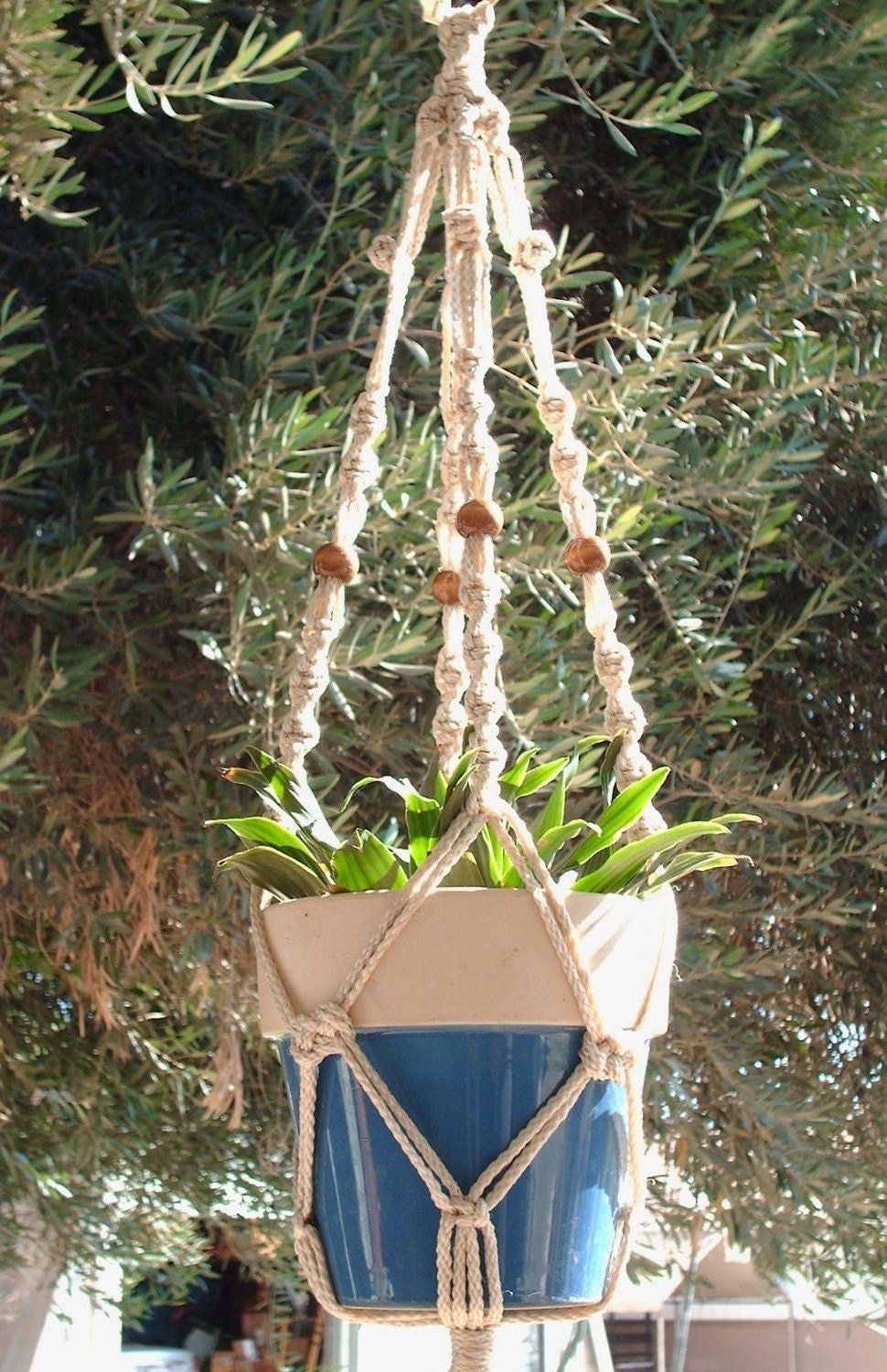Macrame Plant Hanger 28in Button Knot BEADS 4mm by Macrame Plant Hanger 28in Button Knot BEADS 4mm by