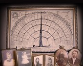 Family Tree Charts with blanks you fill in personal family history. Genealogy information attractively organized. Buy one get two.