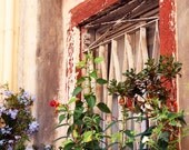 Rustic Home Decor - Window Garden Print - Corfu Greece Photography - Greek Art - Rust Red Purple Flowers - Mediterranean Travel Photo- 8x10